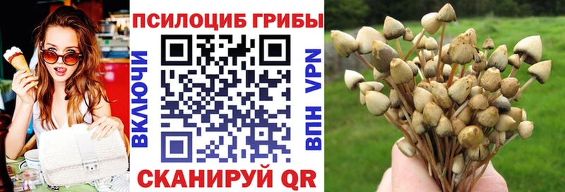 Псилоцибиновые грибы ЛСД  Елабуга 
