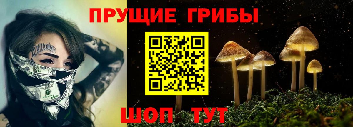 Галлюциногенные грибы MAGIC MUSHROOMS Елабуга